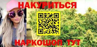 Альфа ПВП Будённовск