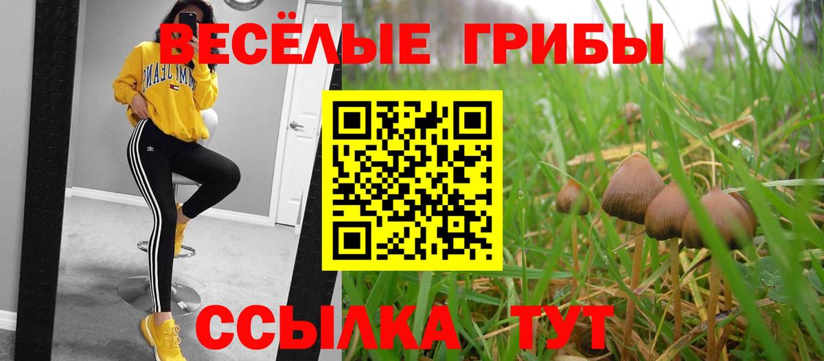 Галлюциногенные грибы мухоморы  Галлюциногенные грибы Cubensis  Чапаевск  Вход с VPN 